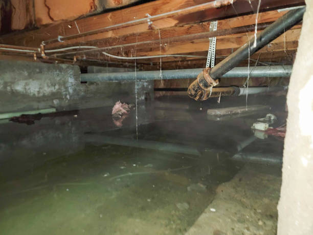 Best Water damage contractors near me  in Pawtucket, RI