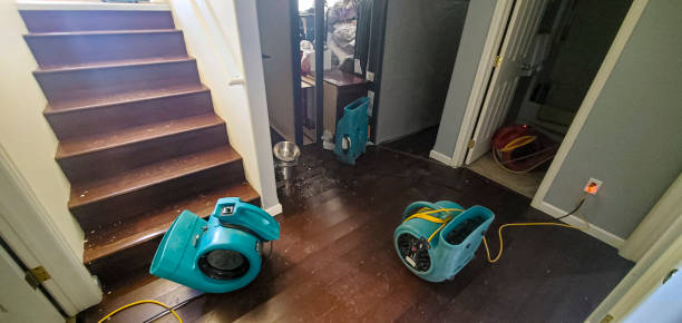 Best Water damage contractors near me  in Pawtucket, RI