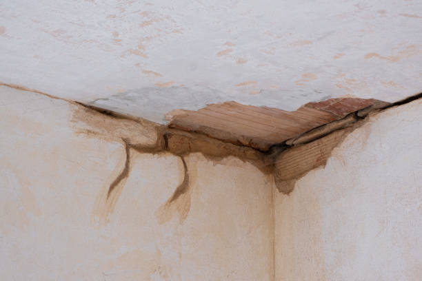 Best Professional water damage repair  in Pawtucket, RI