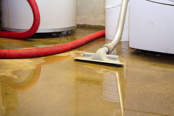 Best Commercial water damage restoration  in Pawtucket, RI