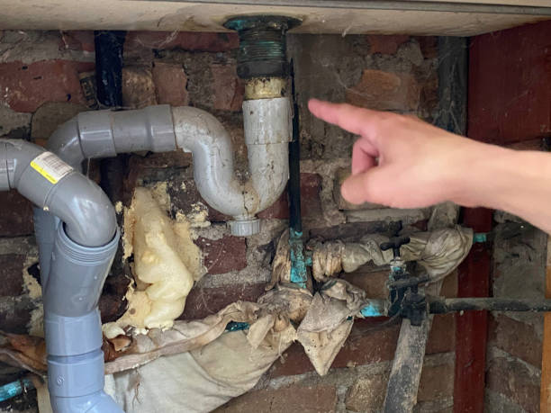 Best Mold removal after water damage  in Pawtucket, RI