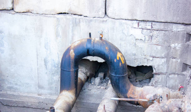 Best Mold removal after water damage  in Pawtucket, RI