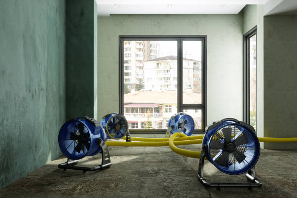 Reliable Pawtucket, RI Water damage restoration Solutions